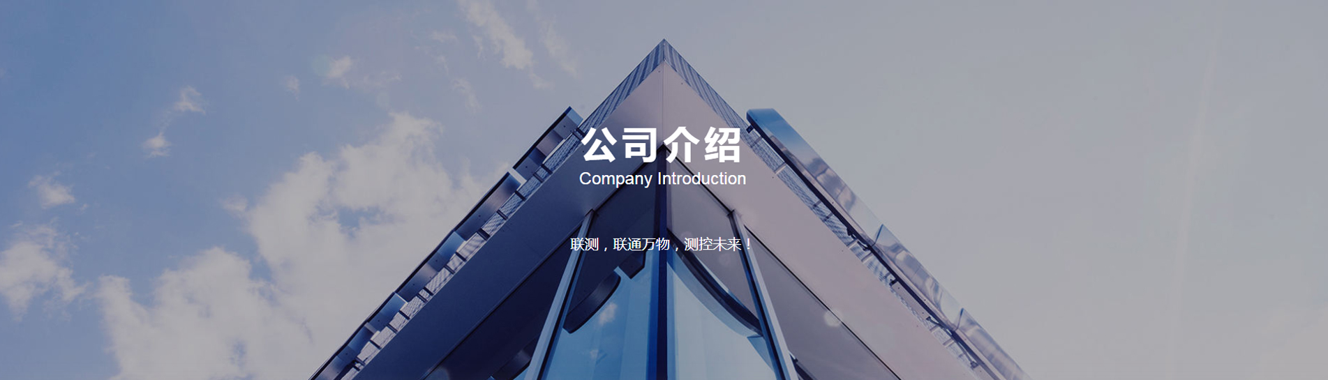 公司簡介